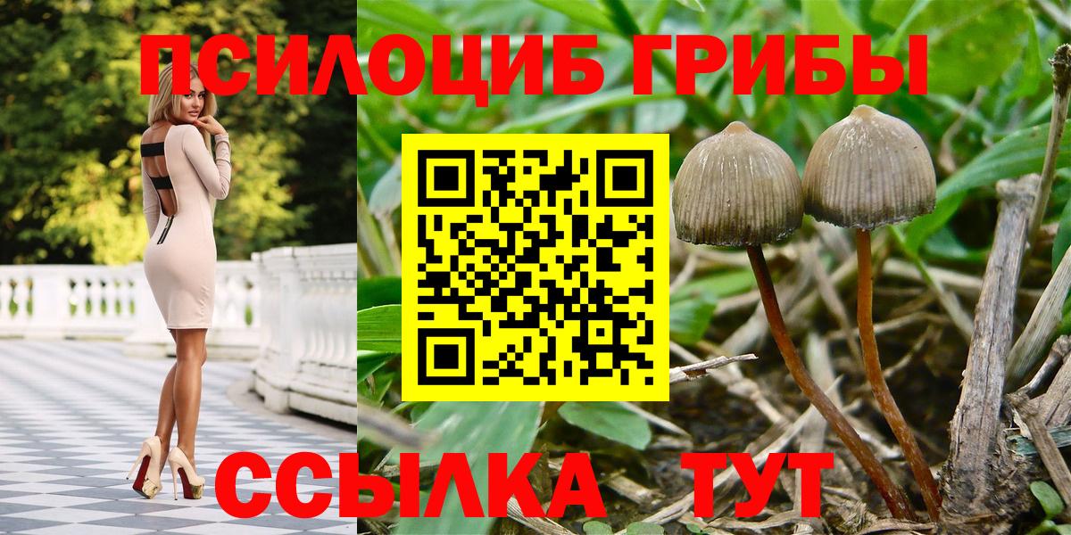 ГАШ  Кокаин  Вход с VPN  МЕФ  Бошки Шишки  Меф кристаллы  ГАШ  Мурманск  КОКАИН  Кодеин 