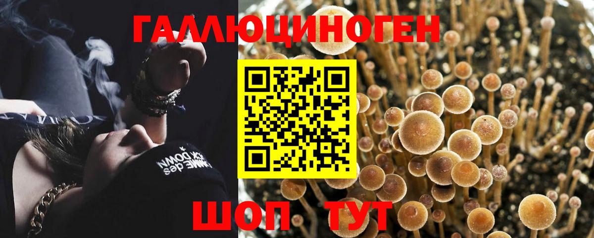 Галлюциногенные грибы Cubensis  Вход с VPN  Мурманск 